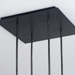 Matte black Square Canopy w/black Naked Pendant